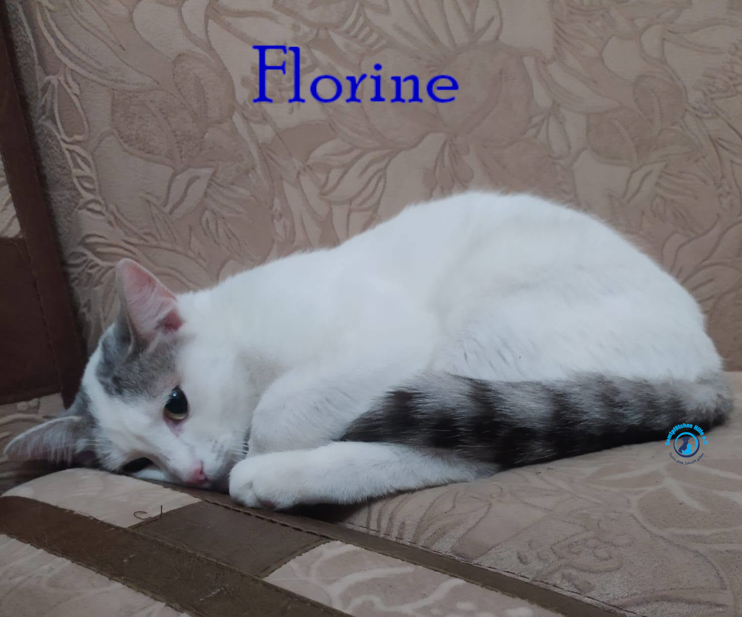 Nadezhda/Katzen/Florine/Florine39mN.jpg