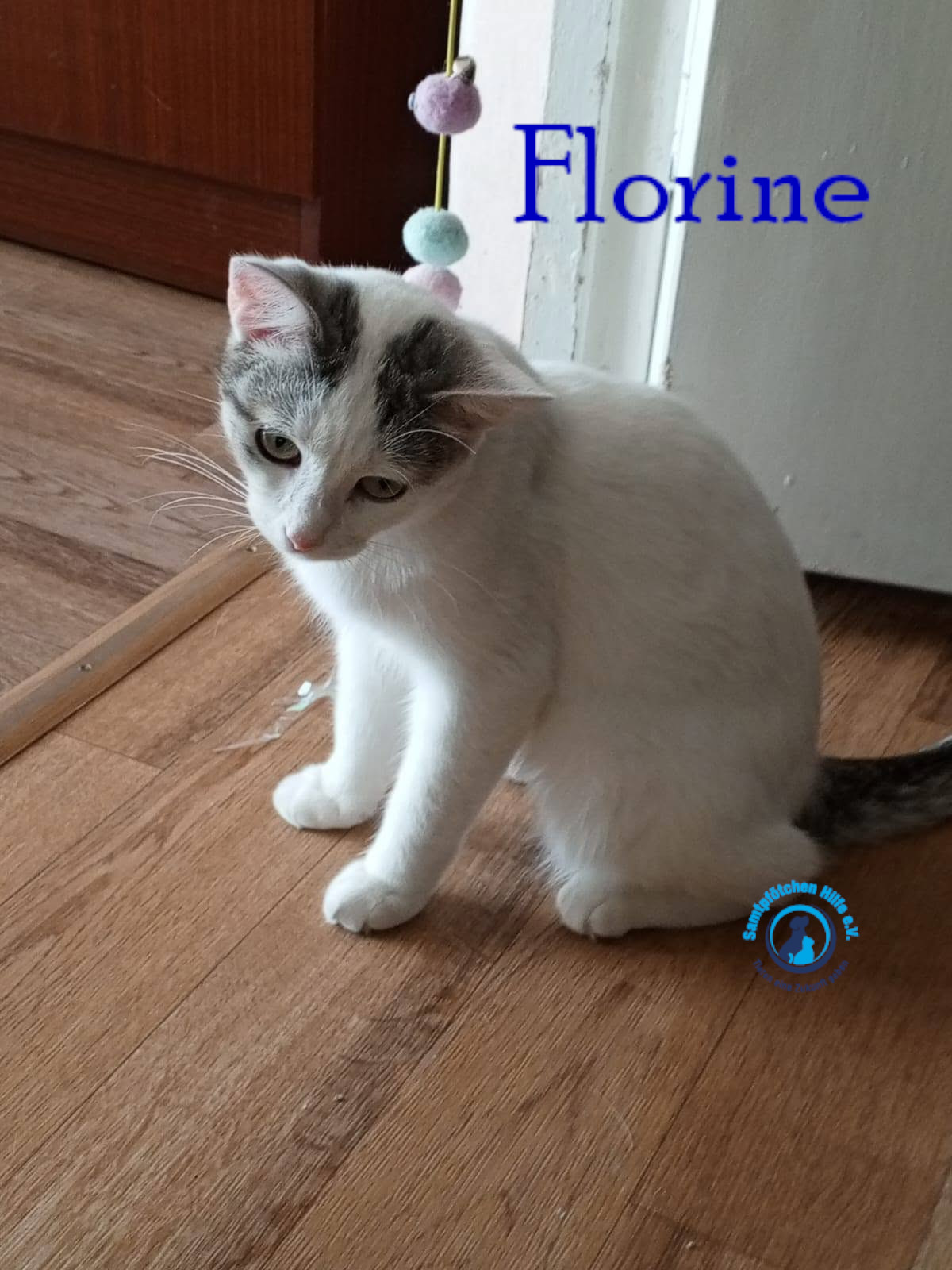 Nadezhda/Katzen/Florine/Florine42mN.jpg
