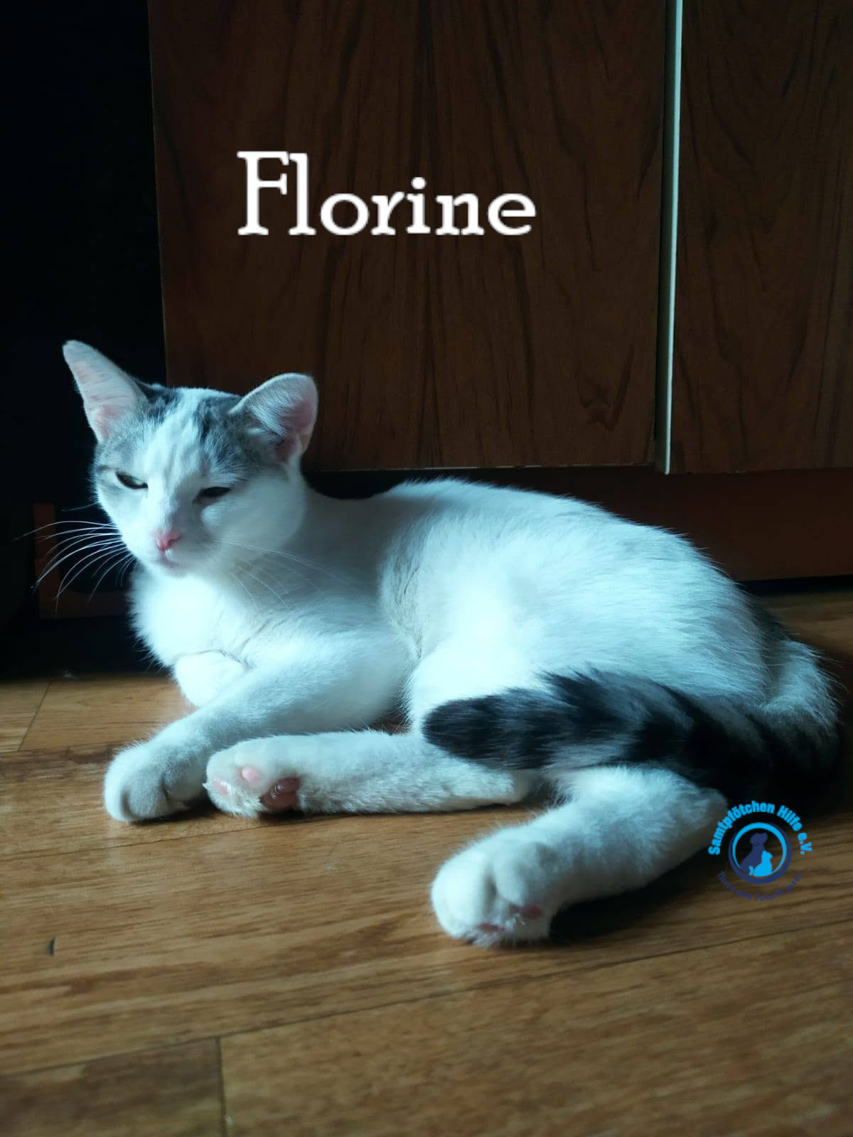 Nadezhda/Katzen/Florine/Florine44mN.jpg