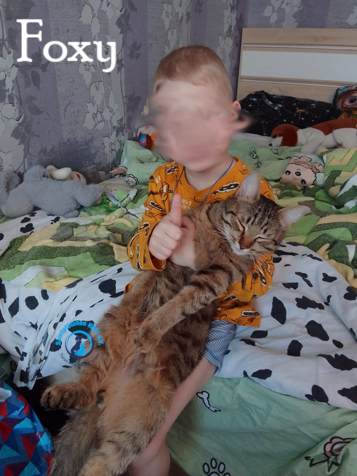 Nadezhda/Katzen/Foxy_III/Foxy_III18mN.jpg