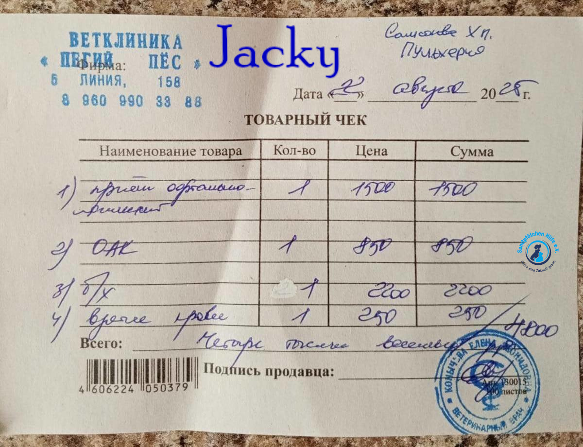 Nadezhda/Katzen/Jacky/Jacky21mN.jpg