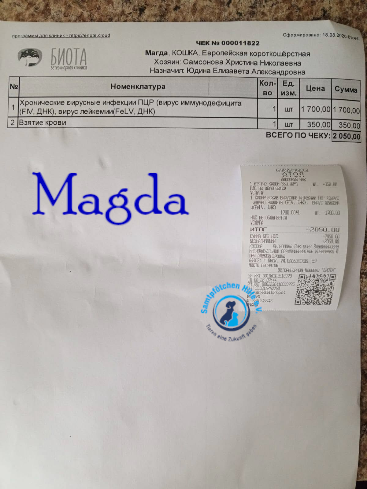 Nadezhda/Katzen/Magda/Magda19mN.jpg