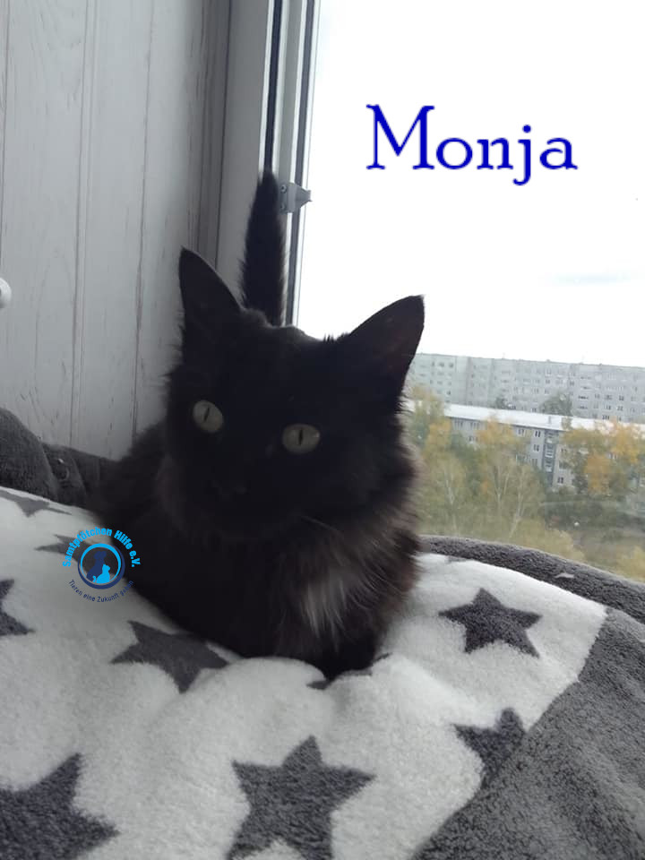 Nadezhda/Katzen/Monja/Monja23mN.jpg