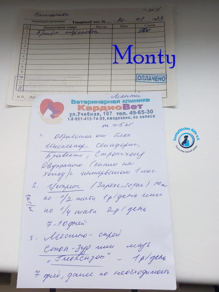 Nadezhda/Katzen/Monty_II/Monty_II105mN.jpg