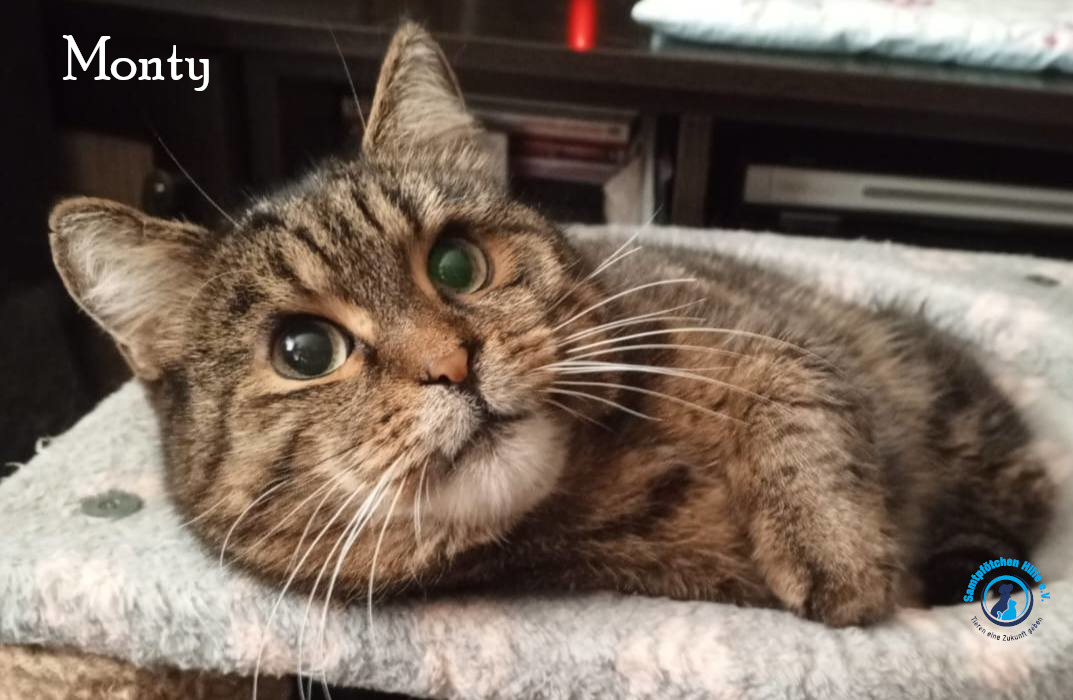 Monty