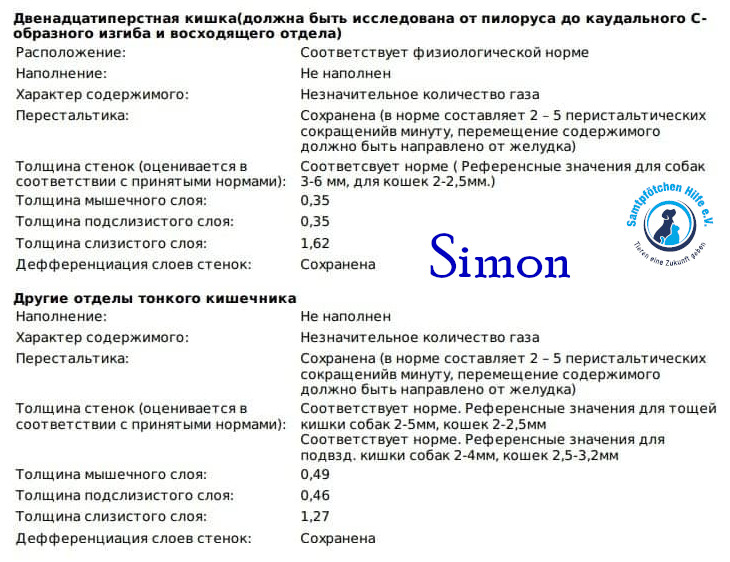 Nadezhda/Katzen/Simon_II/Simon_II43mN.jpg