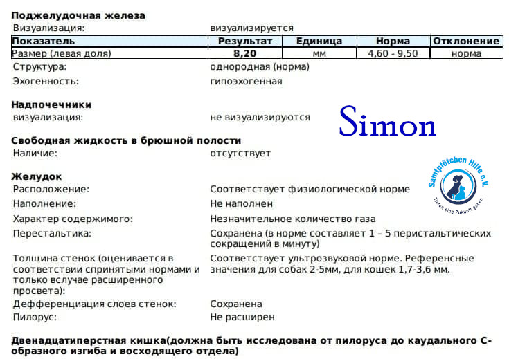 Nadezhda/Katzen/Simon_II/Simon_II44mN.jpg