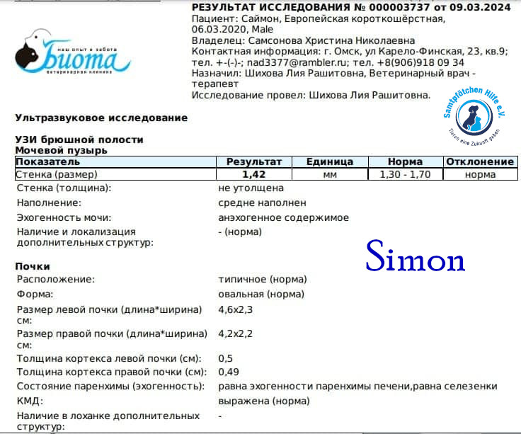 Nadezhda/Katzen/Simon_II/Simon_II46mN.jpg
