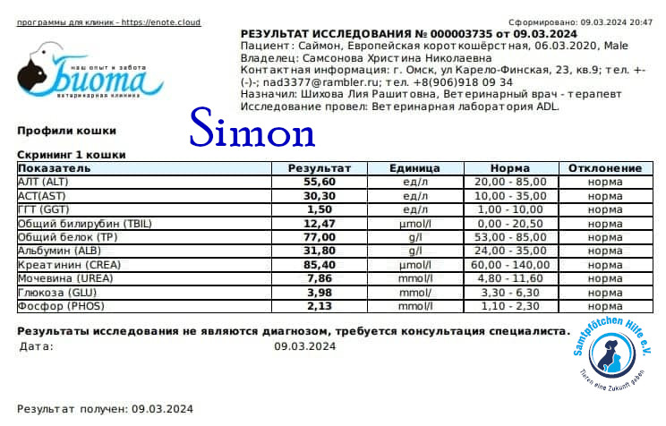 Nadezhda/Katzen/Simon_II/Simon_II47mN.jpg