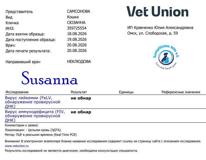 Nadezhda/Katzen/Susanna/Susanna20mN.jpg