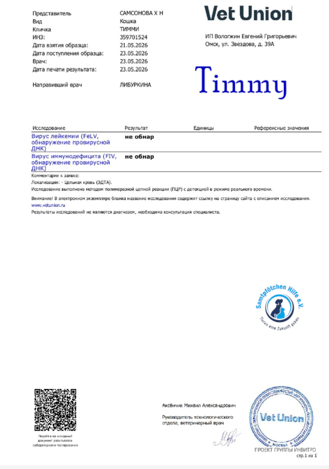 Nadezhda/Katzen/Timmy/Timmy14mN.jpg