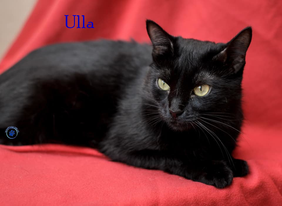 Ulla