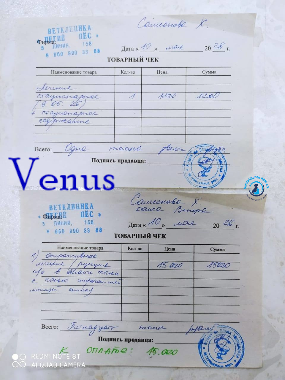 Nadezhda/Katzen/Venus/Venus08mN.jpg