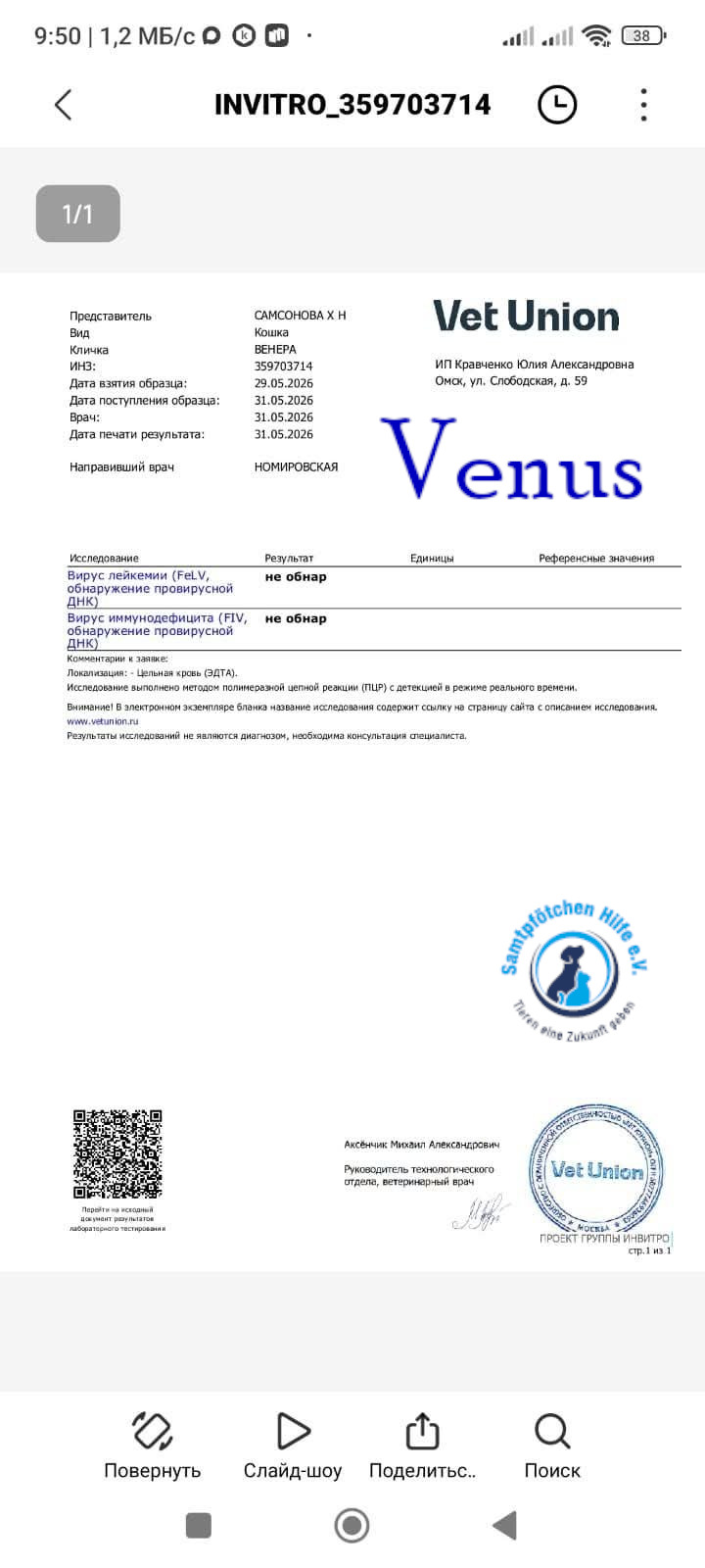 Nadezhda/Katzen/Venus/Venus26mN.jpg