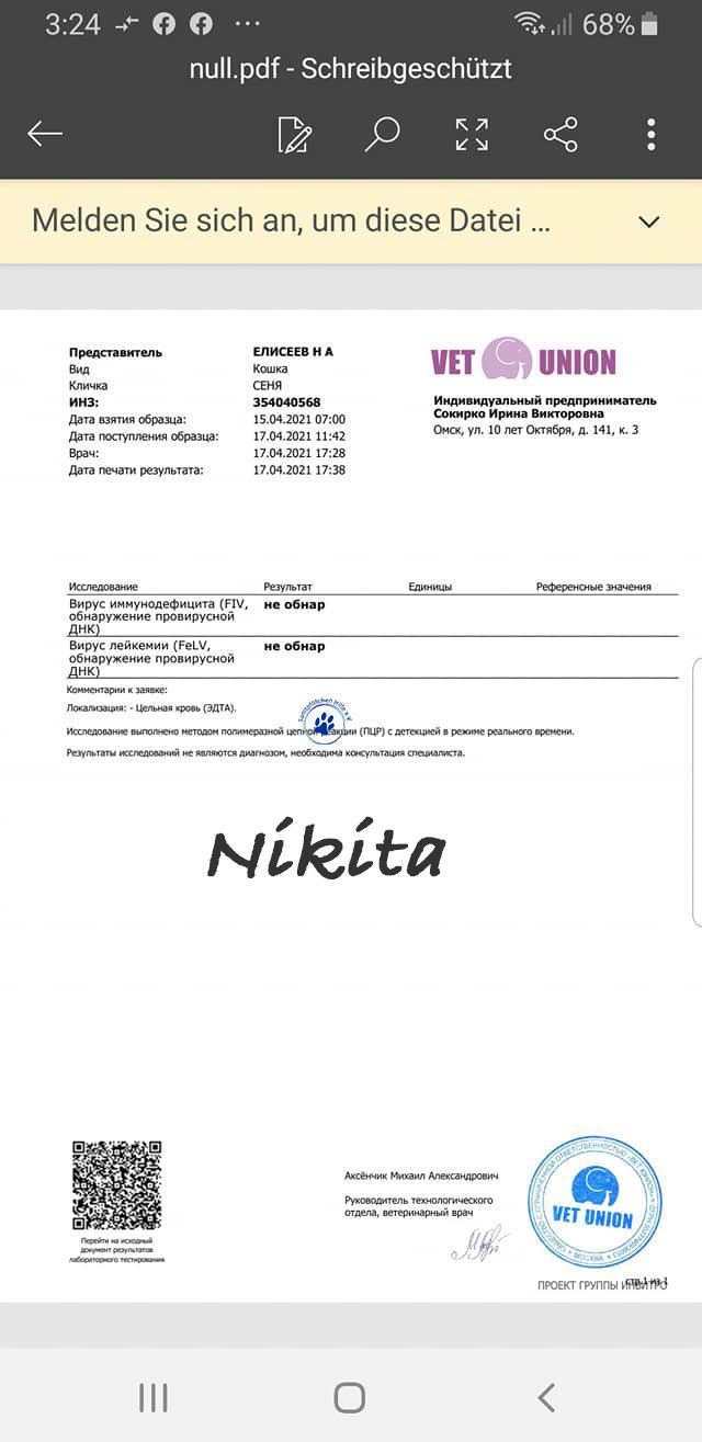 Nikolai/Katzen/Nikita/Nikita05mW.jpg