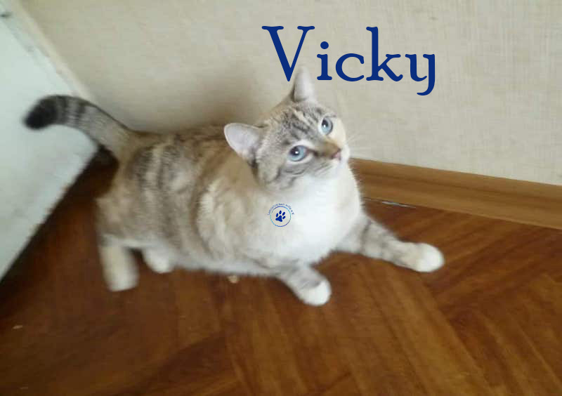 Nikolai/Katzen/Vicky/Vicky01nM.jpg