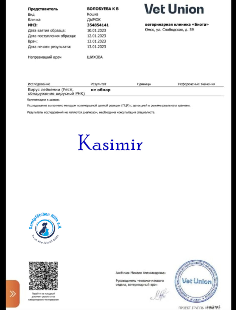 Notfellchen/Kasinir_II/Kasimir_II34mN.jpg