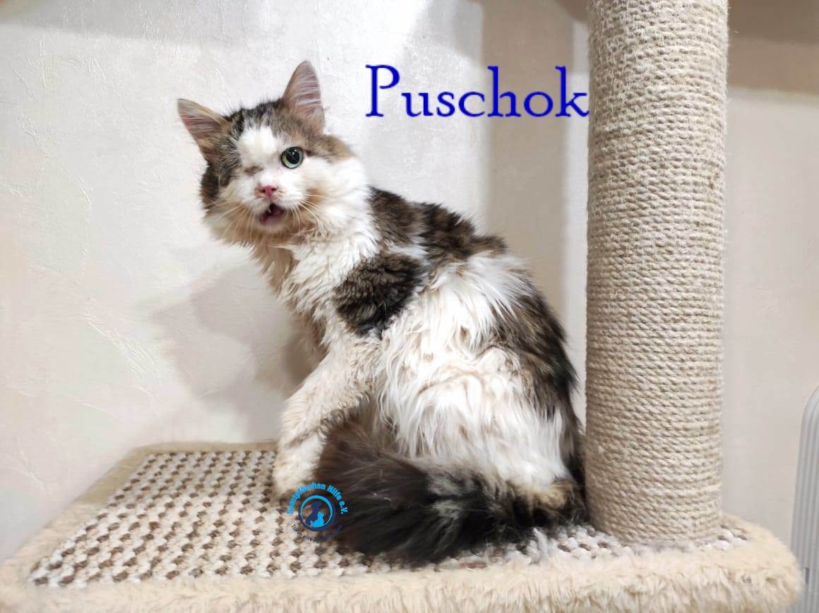 Notfellchen/Puschok/Puschok40mN.jpg