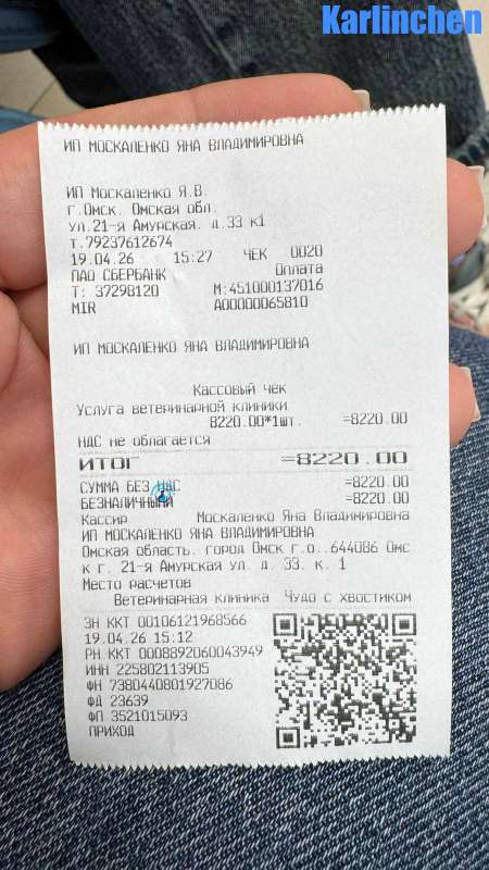 Olga/Katzen/Karlinchen/Karlinchen10Kopie.jpg