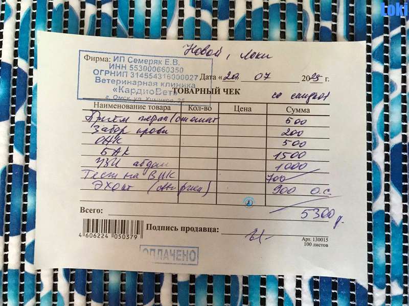 Olga/Katzen/Loki/Loki46Kopie.jpg